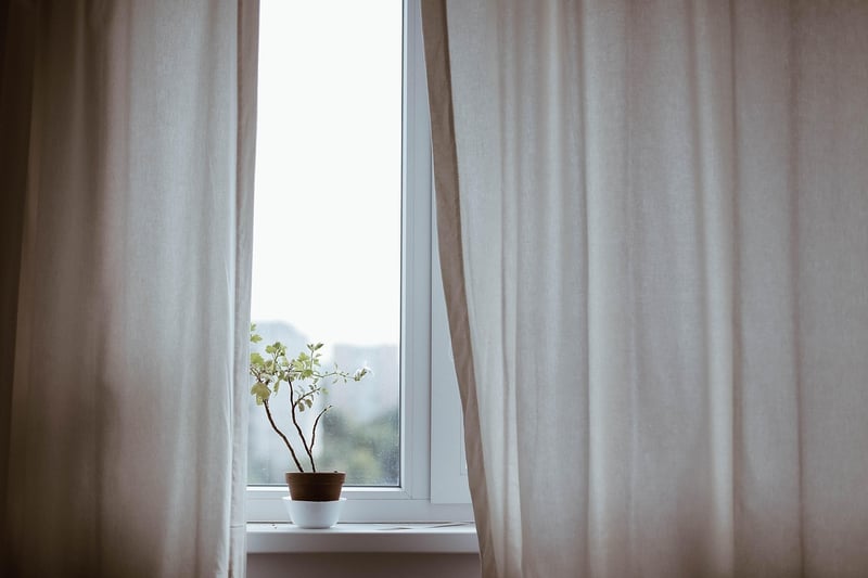 Nature-Inspired Decor